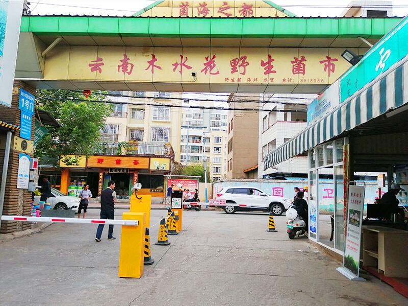 車牌識別系統(tǒng),車牌識別系統(tǒng)廠家,車牌識別系統(tǒng)價(jià)格